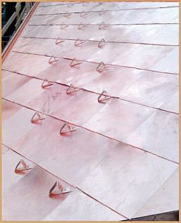 Купить Элита Ласточка - изображение 3