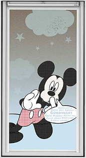 Купить Остекление мансард Velux Сказочная коллекция DKL - изображение 3