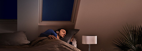 Купить Затемняющие шторы Velux «Сиеста» DKL - изображение 3