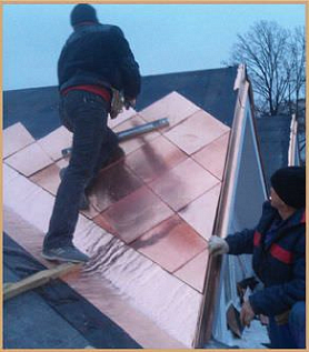 Купить Элита Ласточка - изображение 4