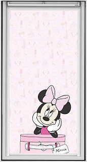 Купить Остекление мансард Velux Сказочная коллекция DKL - изображение 5