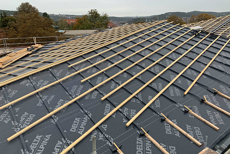 Купить Диффузионная мембрана DELTA ALPINA - изображение 3