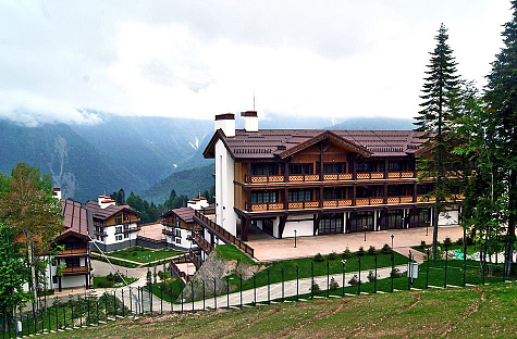 Купить Композитная черепица Metrotile MetroViksen - изображение 3