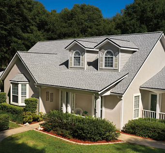 Купить Гибкая черепица GAF Timberline HD Birchwood / Березовый лес - изображение 2